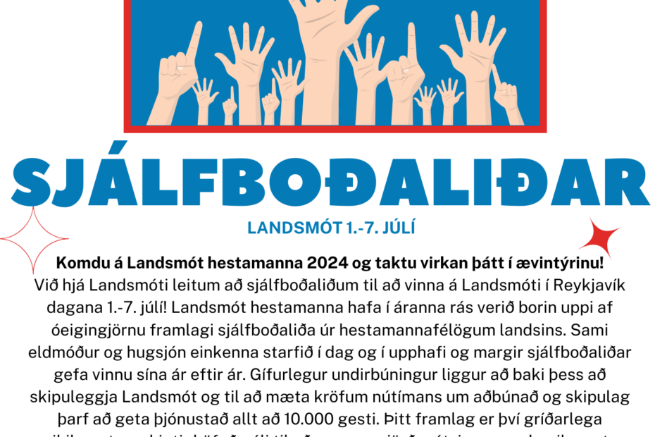 Sjálfboðaliðar Landsmót