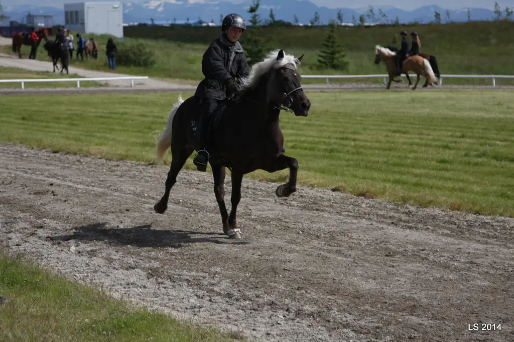 Þorleifur og Hekla æfa fyrir LM