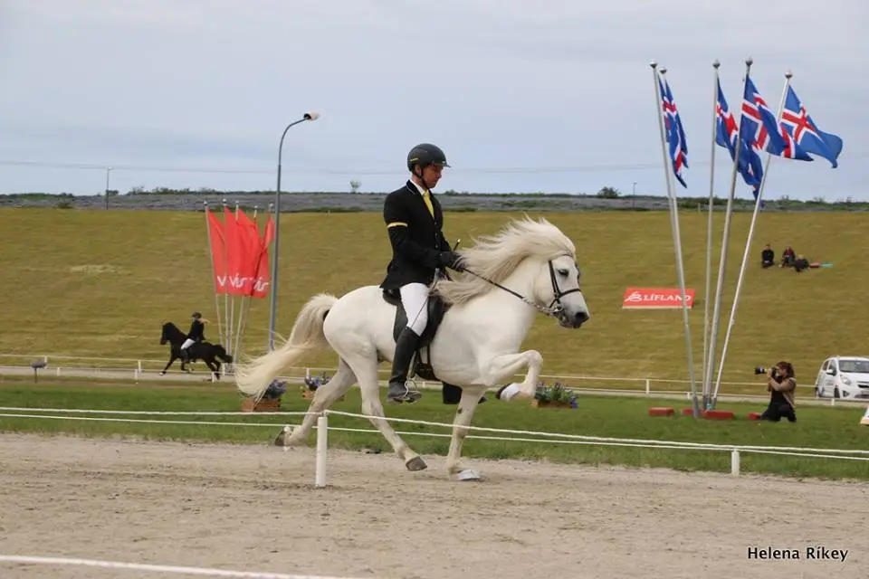 Guðmundur Björgvinsson