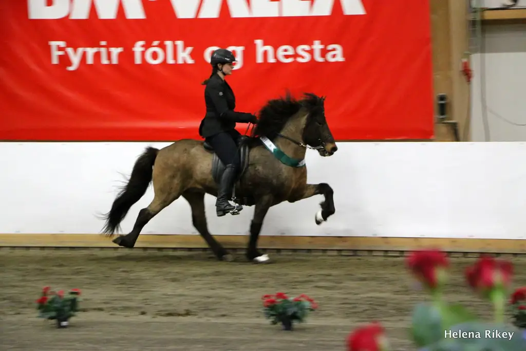 kvtolt2016 - Berglind Ragnars opinn fl 1