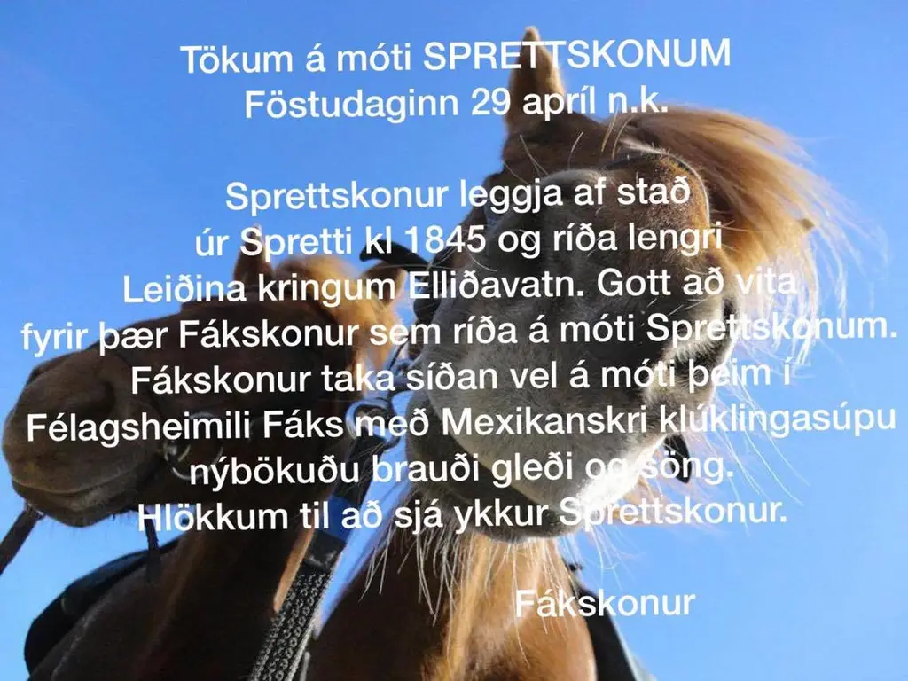 sprettskonurífak