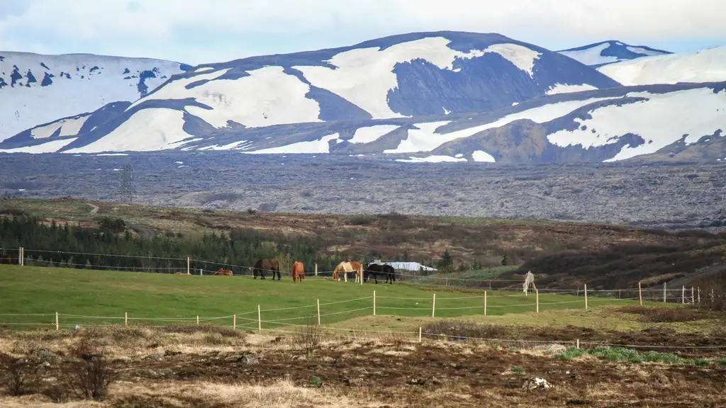 beitarholf