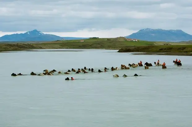 Hestaferðir á fjöllum
