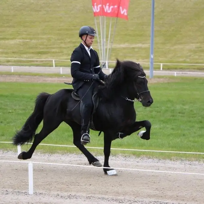 smundur Ernir
