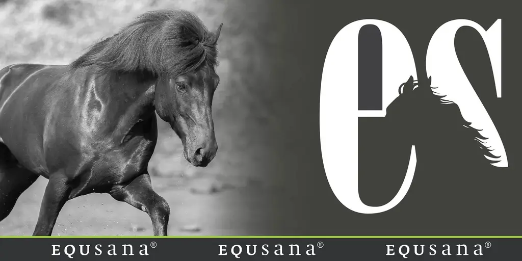 Equsana