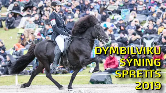 DYMBILVIKU 2019