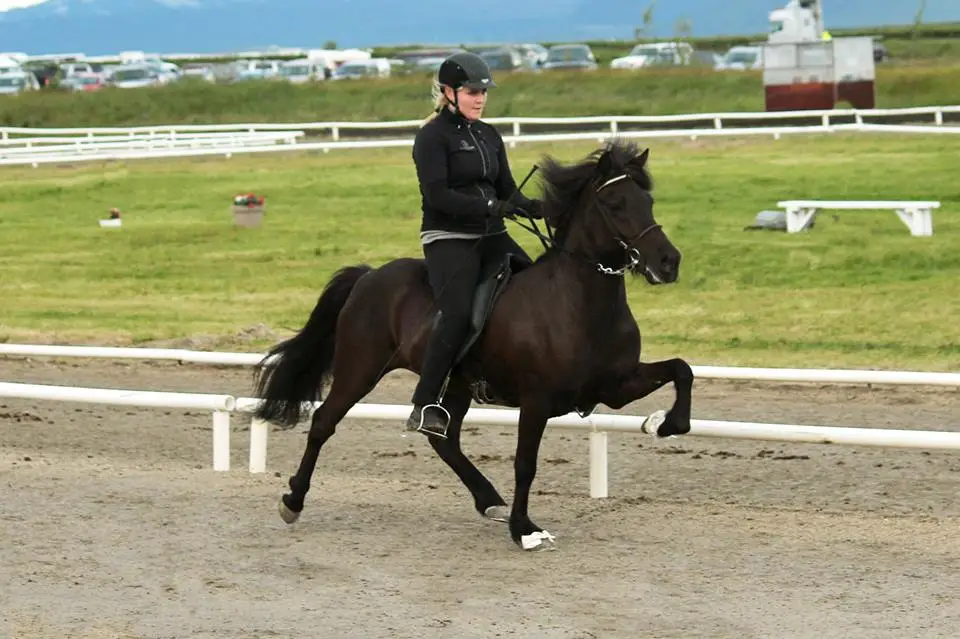 Þórdís Anna