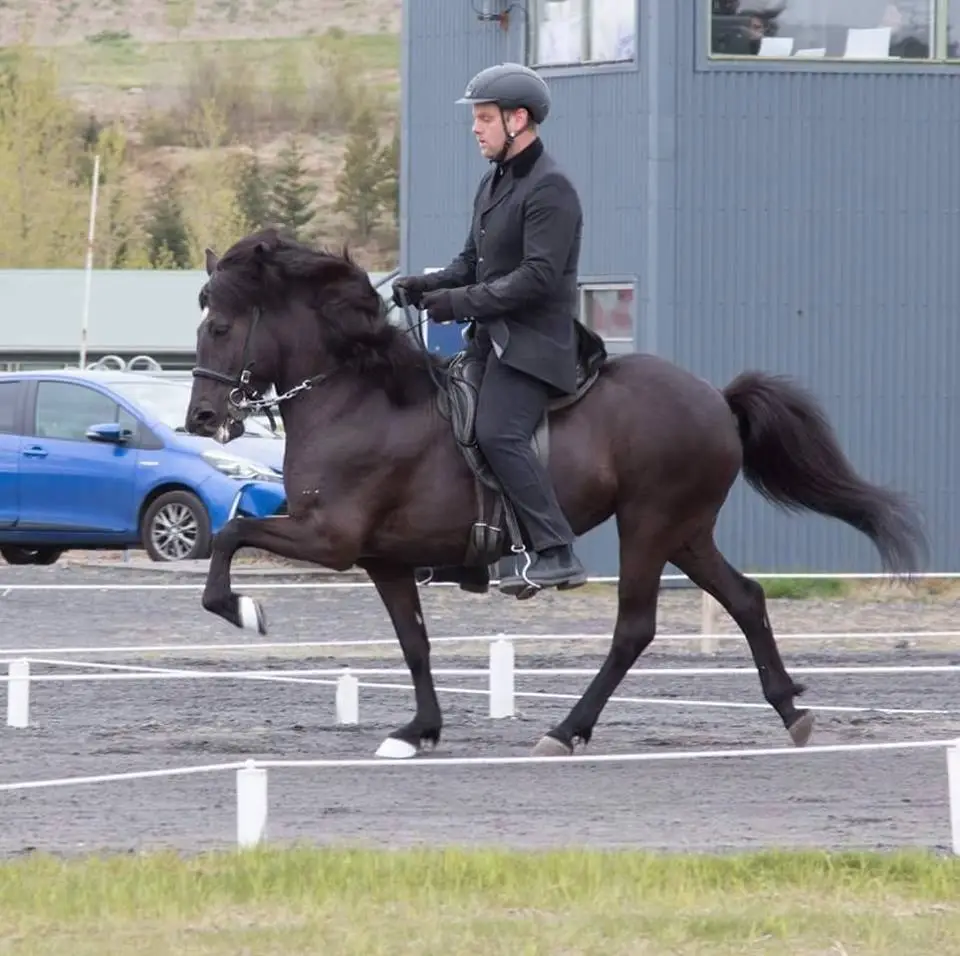 Hinrik Sigurðsson