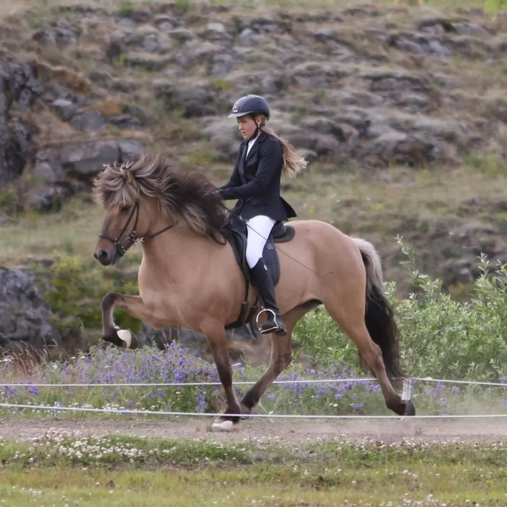 Hekla Rán og Þoka