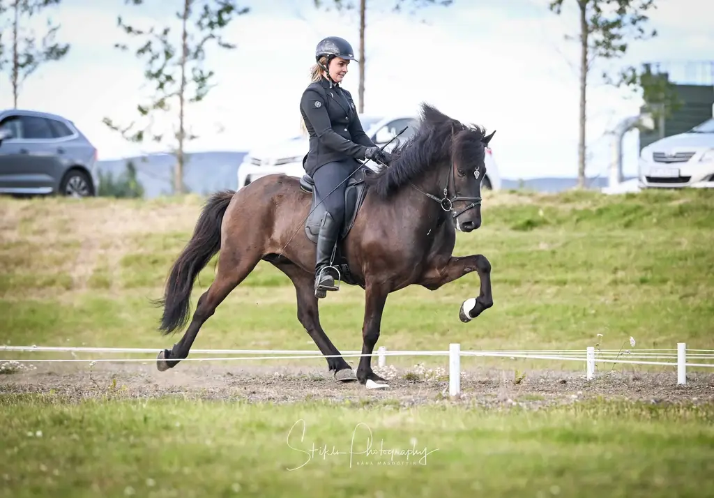 Ragnhildur og Úlfur