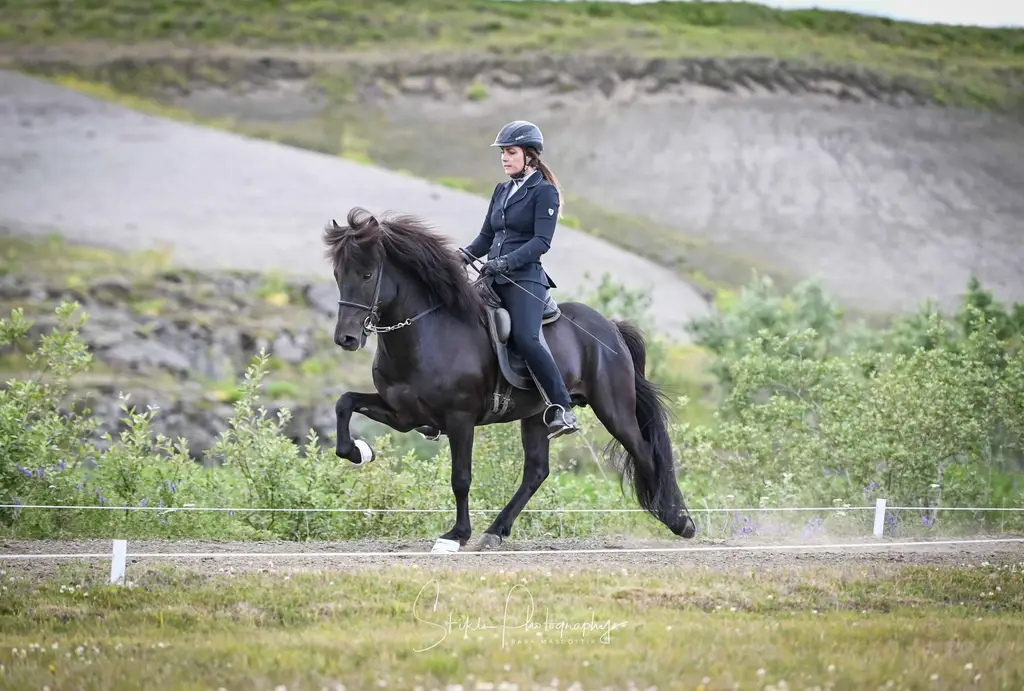 vilfridur1
