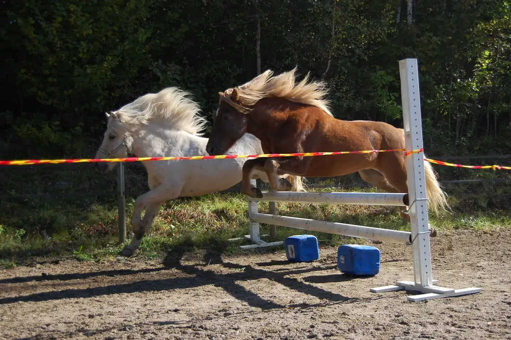 hindrunarstökk