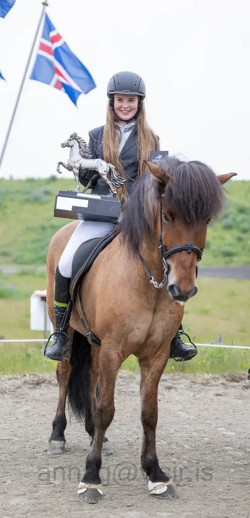 Elva og Svansstyttan